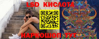 гидра Краснознаменск