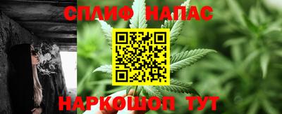 гидра Краснознаменск