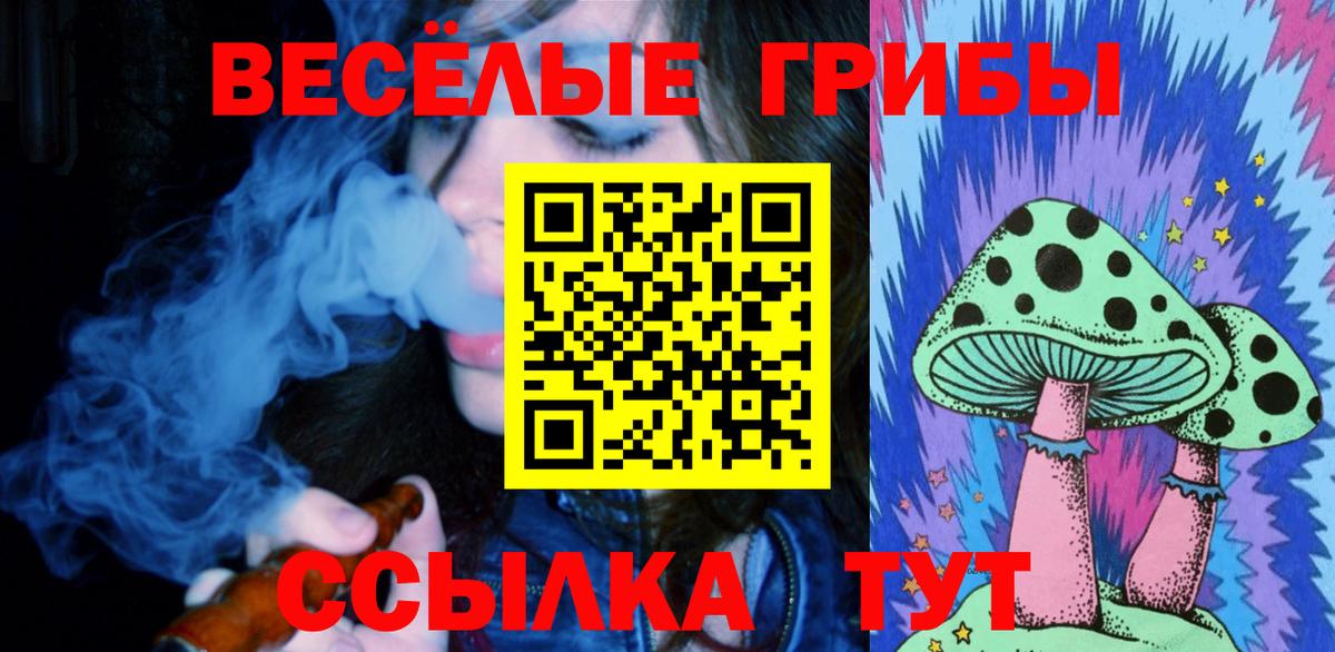 Псилоцибиновые грибы Magic Shrooms  Вход с VPN  Гудермес 